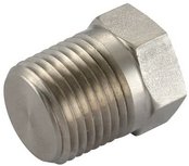 1/4 NPT Blanking plug