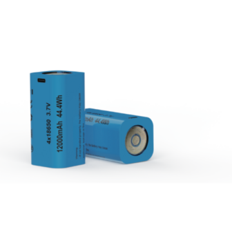 Li-ion 4x18650 Tip Battery Skywoods