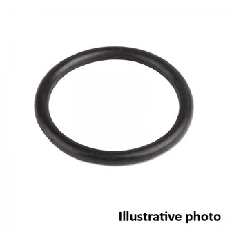 Liberty O rings for banjo