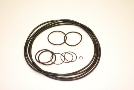 O-ring set rEvo III 