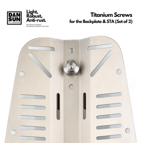 Standard Ti Screws (Set of 2)